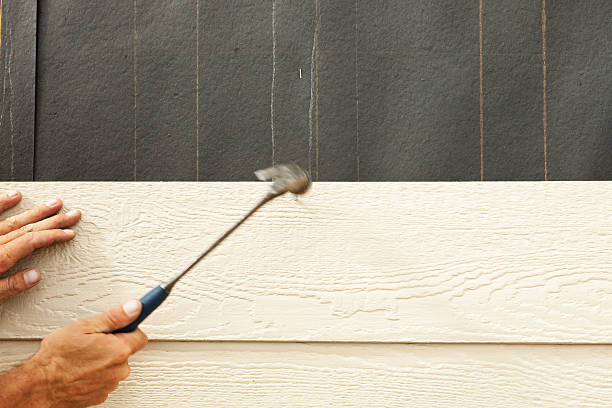 Best Fascia and Soffit Installation  in Piedmont, SD